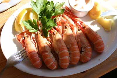 Langoustine salad at Tarbet