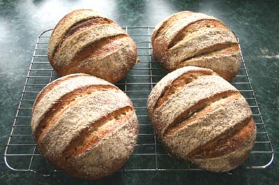 The 18 June 2011 Campagne loaves on the cooling rack