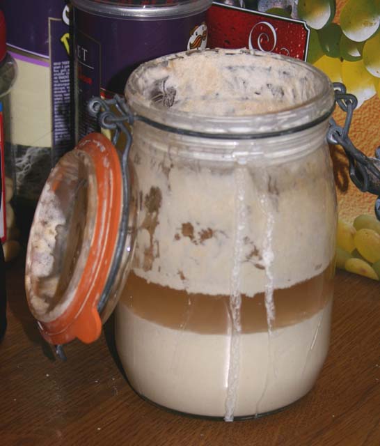 The Worskop Sourdough Starter on the 12 January 2007