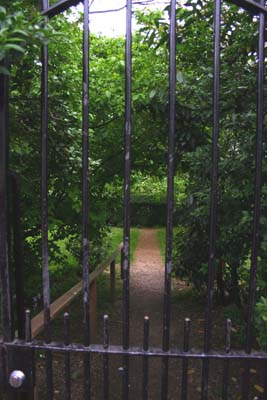 A glimpse of the communal garden